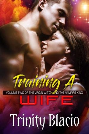 Cover of the book Training a Wife by Kristen Painter