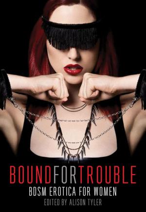 Cover of the book Bound for Trouble by Rachel Kramer Bussel