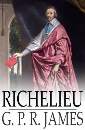 Cover of the book Richelieu by Clarence L. Cullen