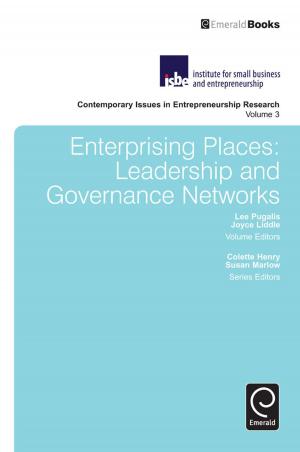 Cover of the book Enterprising Places by Zhenhua Chen, Kingsley E. Haynes
