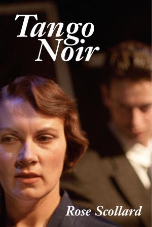 Cover of the book Tango Noir by j fisher