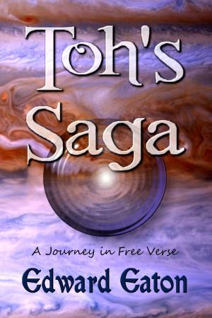 Cover of the book Toh's Saga by Ruth Nott