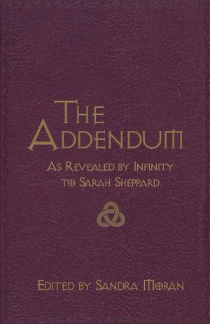 Book cover of The Addendum