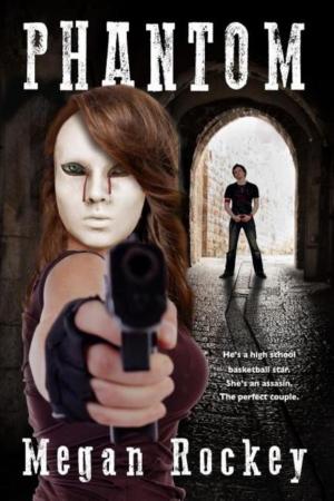 Cover of the book Phantom by David Rollison