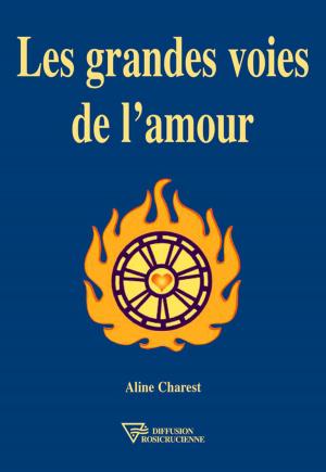 Cover of the book Les grandes voies de l'amour by Serge Toussaint