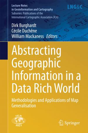 Cover of the book Abstracting Geographic Information in a Data Rich World by Liliana Avelar-Sosa, Jorge Luis García-Alcaraz, Aidé Aracely Maldonado-Macías