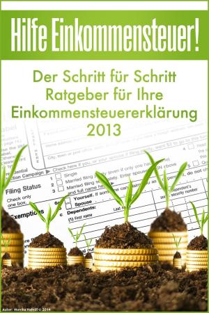 Cover of the book Hilfe Einkommensteuer! Der Schritt für Schritt Ratgeber für Ihre Einkommensteuererklärung 2013 by Sergey Petrof