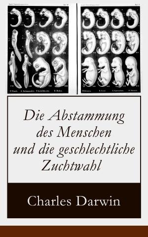 Cover of the book Die Abstammung des Menschen und die geschlechtliche Zuchtwahl by Ödön von Horváth