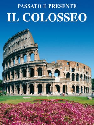 Cover of the book Il Colosseo by William H. Bradshaw