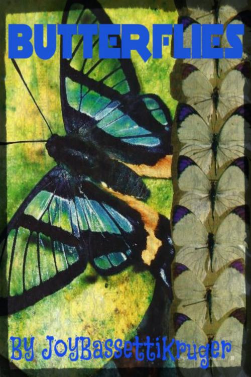 Cover of the book Butterflies by Joy Bassetti Kruger, Ackru