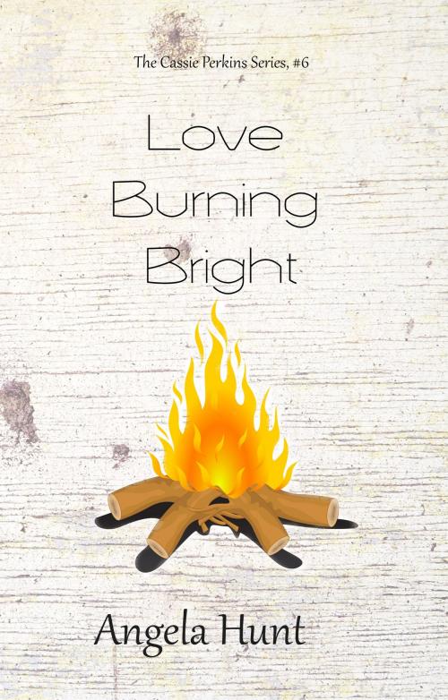 Cover of the book Love Burning Bright by Angela Hunt, Hunt Haven Press