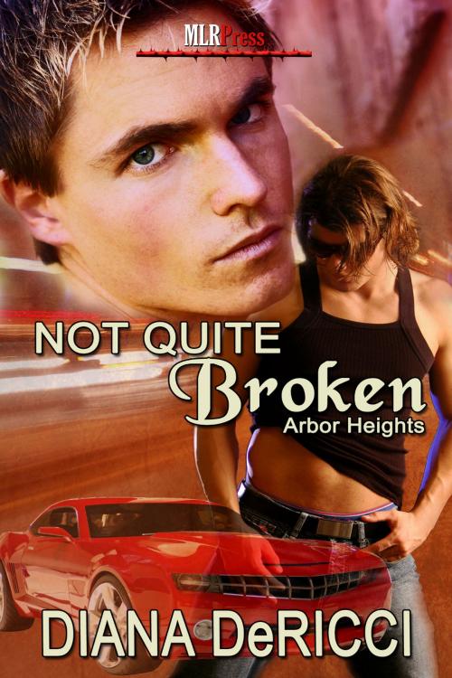 Cover of the book Not Quite Broken by Diana DeRicci, MLR Press