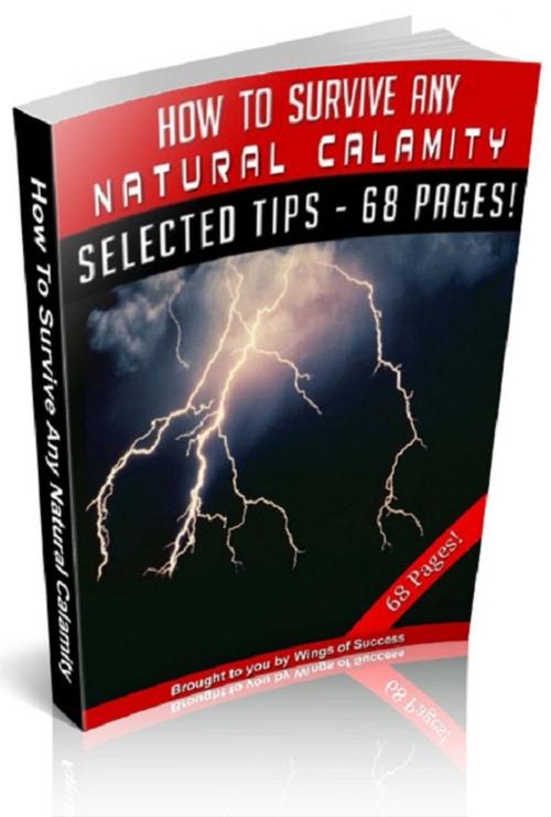 Cover of the book How To Survive Any Natural Calamity by Anonymous, Consumer Oriented Ebooks Publisher