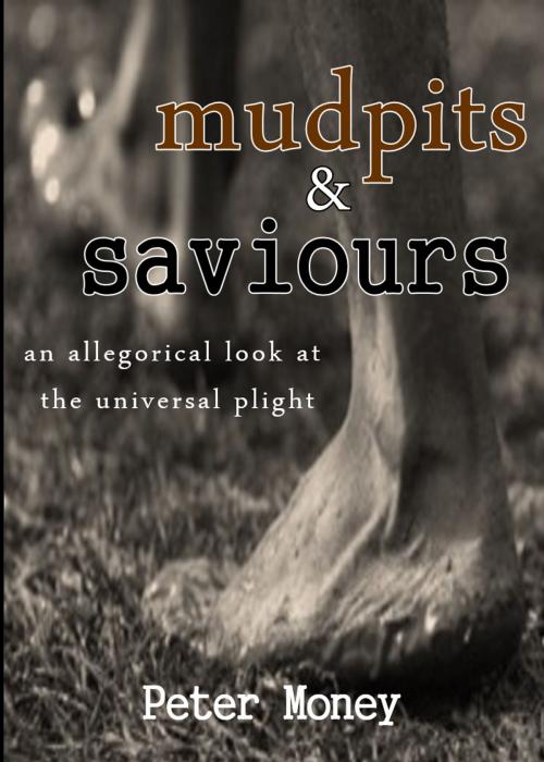 Cover of the book mudpits & saviours by Peter Money, pdm products co.