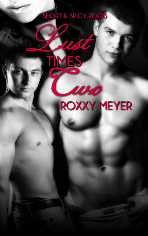 Cover of the book Lust Times Two by Roxxy Meyer, Wild & Lawless Writers