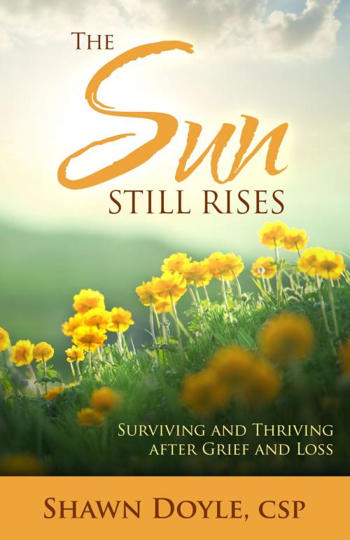 Cover of the book The Sun Still Rises by Shawn Doyle, CSP, Sound Wisdom