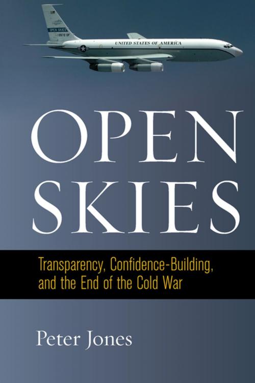 Cover of the book Open Skies by Peter Jones, Stanford University Press