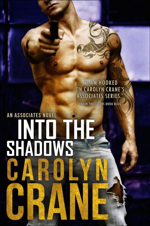 Cover of the book Into the Shadows by Carolyn Crane, Carolyn Crane