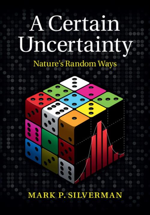 Cover of the book A Certain Uncertainty by Mark P. Silverman, Cambridge University Press