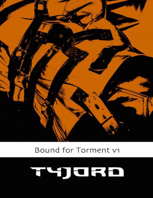 Cover of the book Bound for Torment Vol 1 by Tyjord, Lulu.com