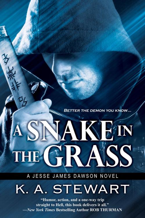 Cover of the book A Snake in the Grass by K.A. Stewart, K.A. Stewart