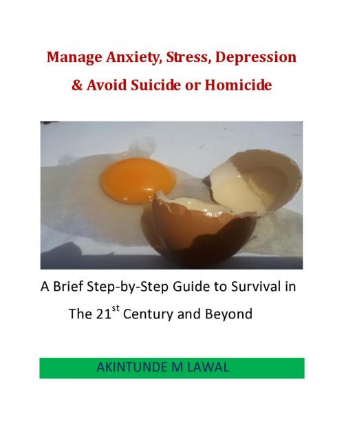 Cover of the book Manage Anxiety, Stress, Depression & Avoid Suicide or Homicide by Akintunde M Lawal, Akintunde M Lawal