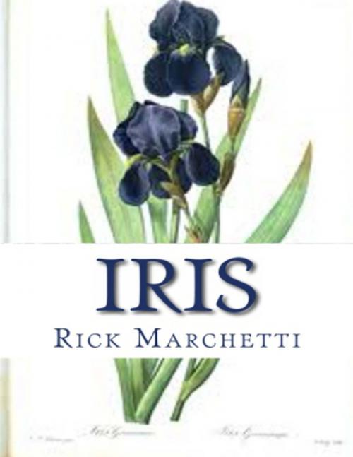 Cover of the book Iris by Rick Marchetti, Lulu.com