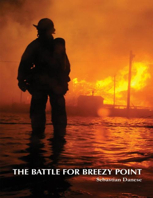 Cover of the book The Battle for Breezy Point by Sebastian Danese, Lulu.com