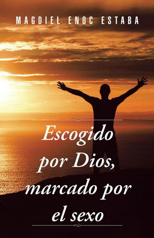 Cover of the book Escogido Por Dios, Marcado Por El Sexo by Magdiel Enoc Estaba, Palibrio