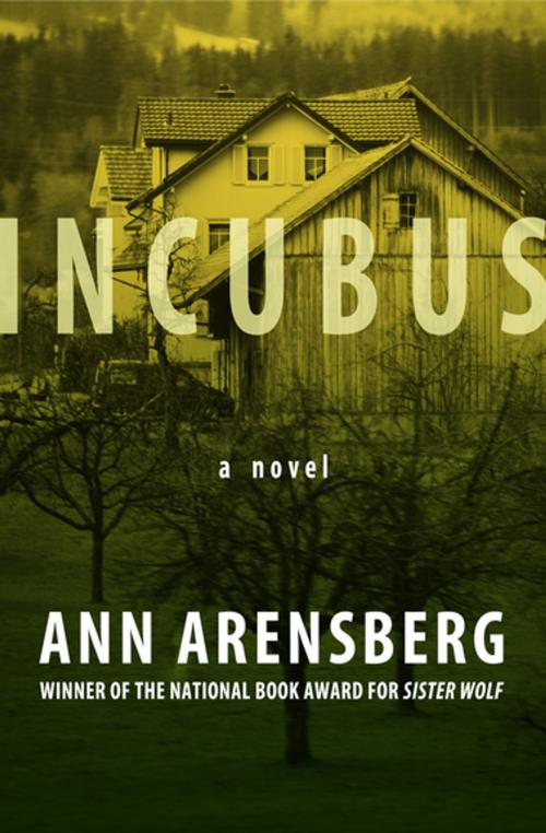 Cover of the book Incubus by Ann Arensberg, Open Road Media