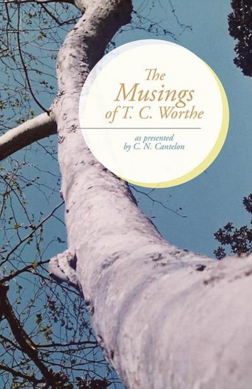 Cover of the book The Musings of T. C. Worthe by C. N. Cantelon, Trafford Publishing