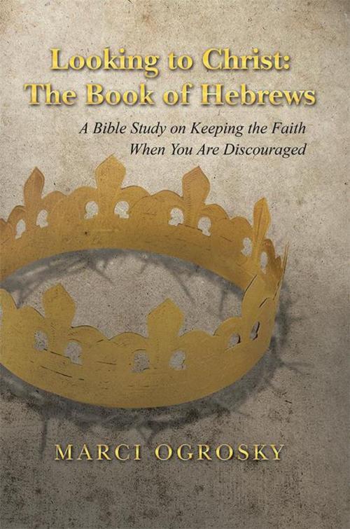 Cover of the book Looking to Christ: the Book of Hebrews by Marci Ogrosky, WestBow Press