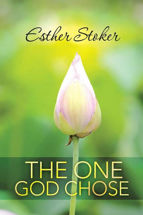 Cover of the book The One God Chose by Esther Stoker, WestBow Press