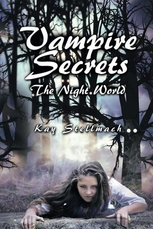 Cover of the book Vampire Secrets by Kay Stellmach, AuthorHouse