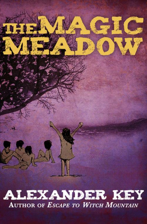 Cover of the book The Magic Meadow by Alexander Key, Open Road Media