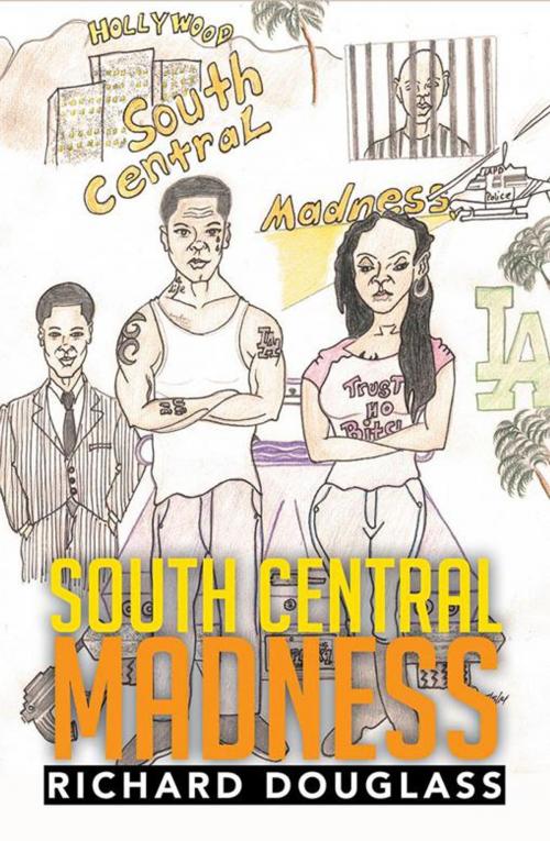 Cover of the book South Central Madness by Richard Douglass, Xlibris US