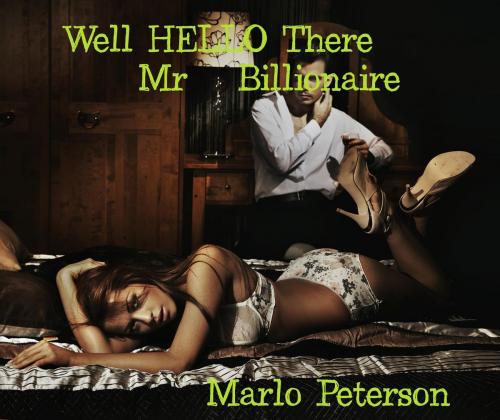 Cover of the book Hello There, Mr. Billionaire by Marlo Peterson, Marlo Peterson