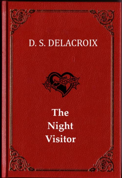 Cover of the book The Night Visitor by D.S. Delacroix, AiIM LLC