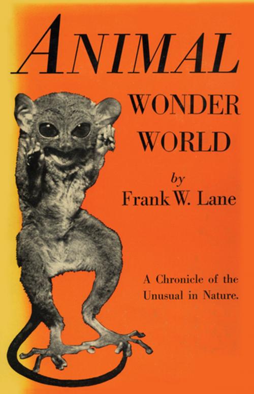 Cover of the book Animal Wonder World by Frank W. Lane, M. Evans & Company