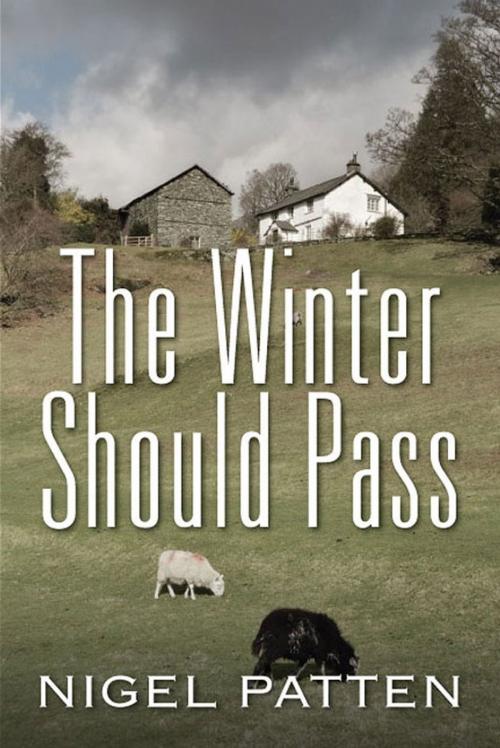 Cover of the book The Winter Should Pass by Nigel Patten, Eloquent Books