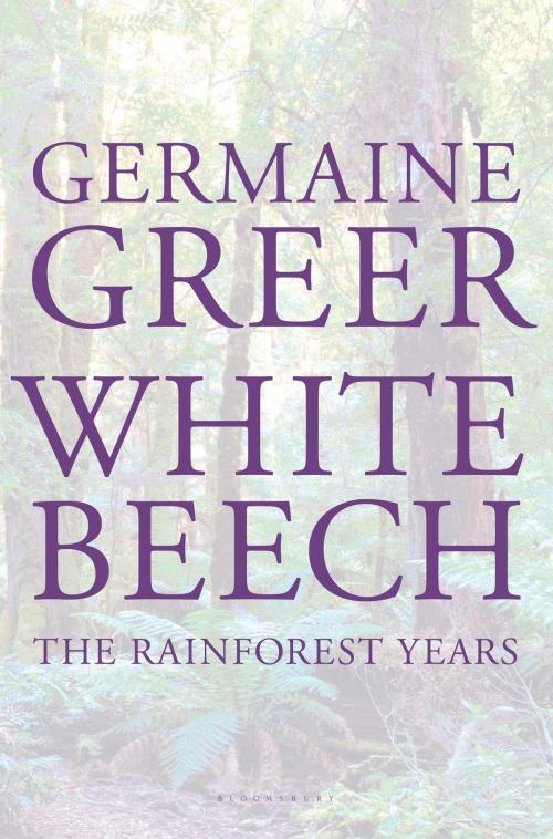 Cover of the book White Beech by Germaine Greer, Bloomsbury Publishing