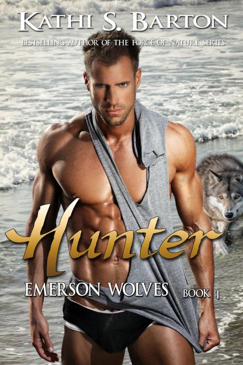 Cover of the book Hunter by Kathi S Barton, World Castle Publishing, LLC