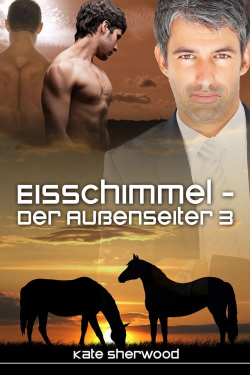 Cover of the book Eisschimmel - Der Außenseiter 3 by Kate Sherwood, Dreamspinner Press