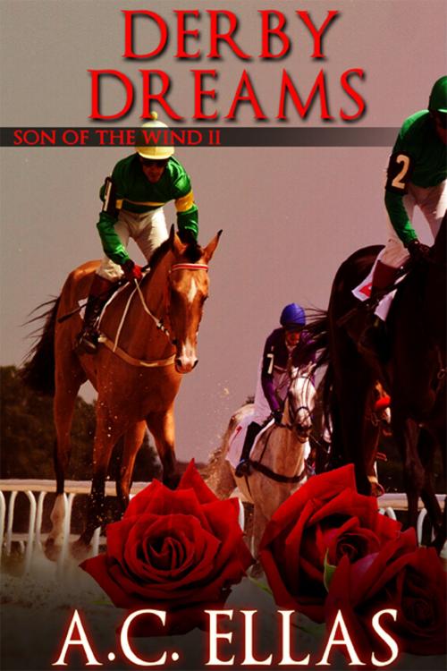 Cover of the book Derby Dreams by A.C. Ellas, eXtasy Books Inc