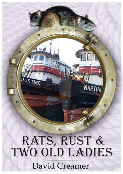 Cover of the book Rats, Rust and Two Old Ladies by David Creamer, Whittles Publishing