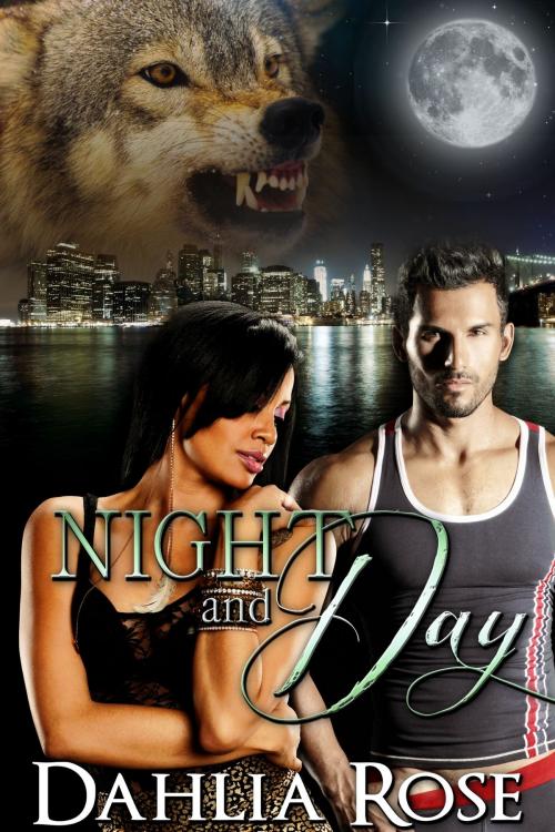 Cover of the book Night and Day by Dahlia Rose, Dahlia Rose