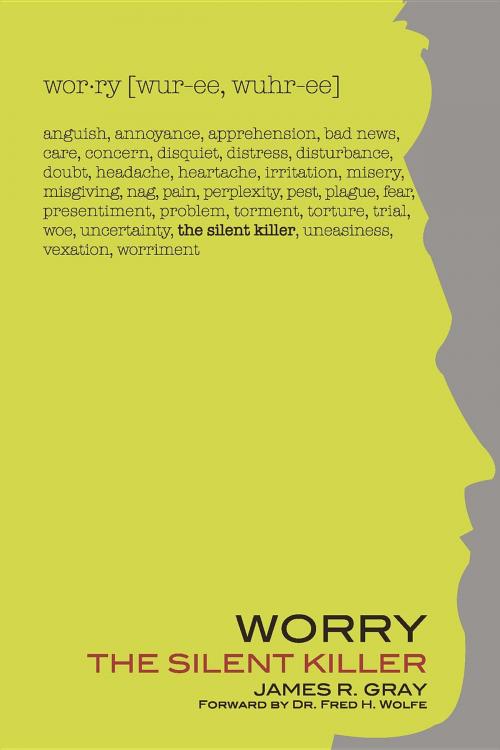 Cover of the book Worry by James R Gray, Katy Neely, The Baptist Courier