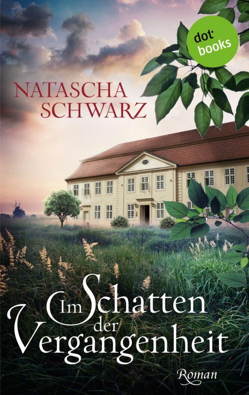 Cover of the book Im Schatten der Vergangenheit by Natascha Schwarz, dotbooks GmbH