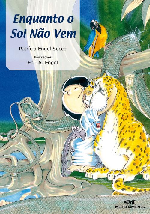 Cover of the book Enquanto o Sol Não Vem by Patrícia Engel Secco, Editora Melhoramentos