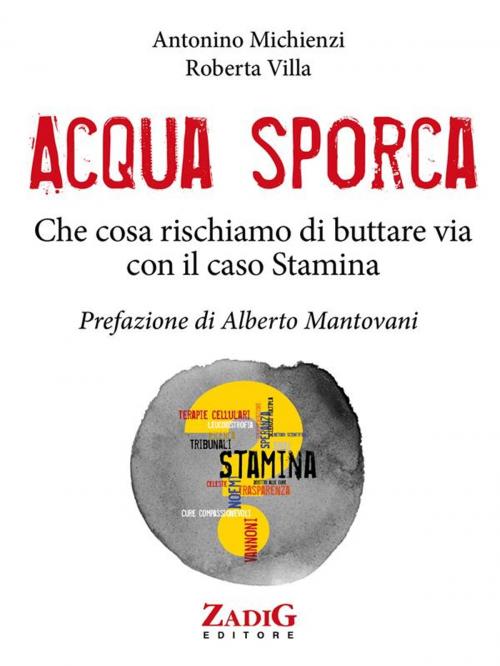 Cover of the book Acqua sporca by Antonino Michienzi, Roberta Villa, Zadig